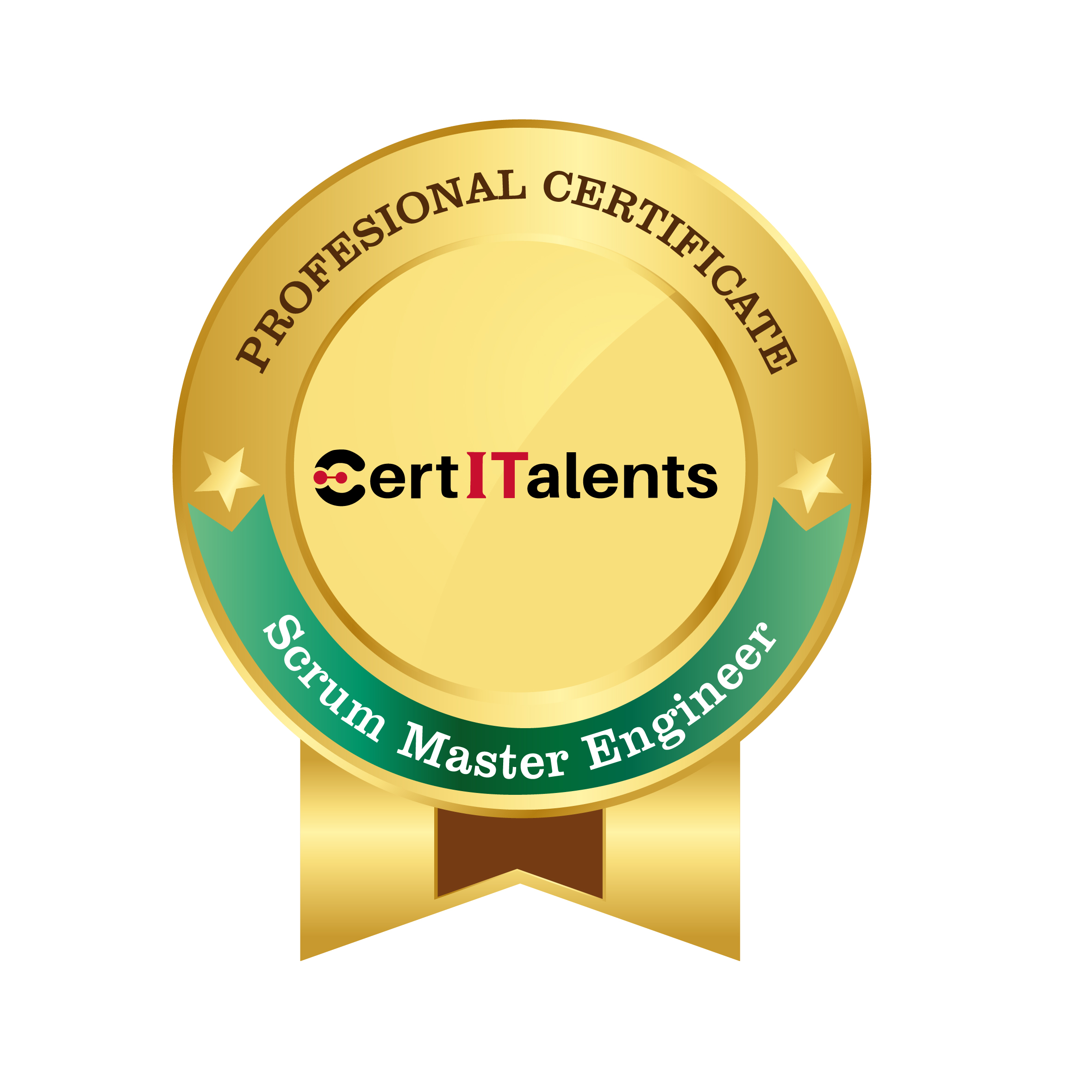 Scrum Master Engineer