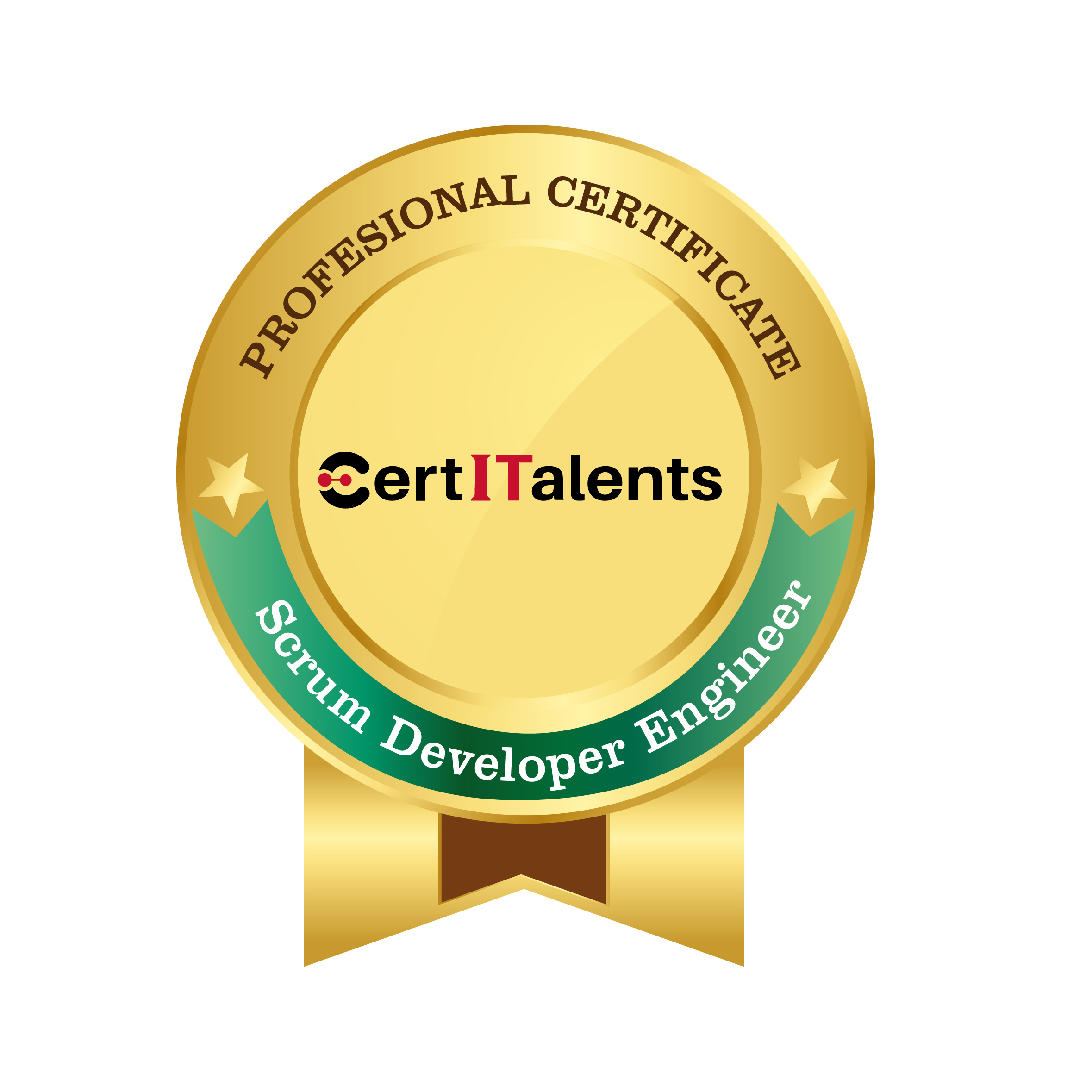 Scrum Developer Engineer